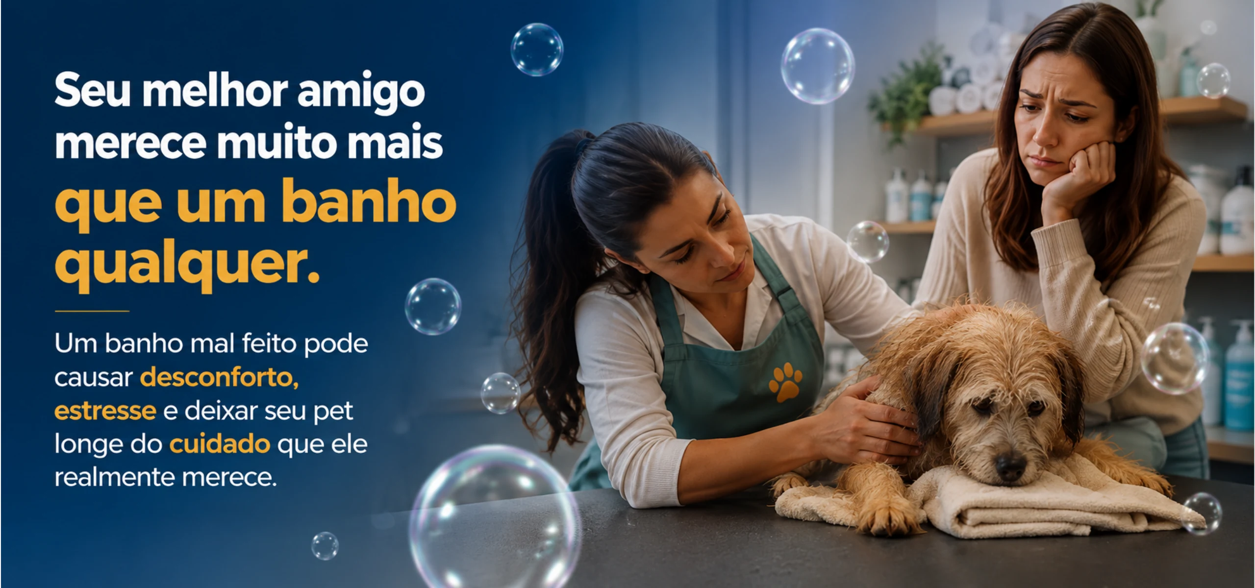 Seção 2 da página modelo