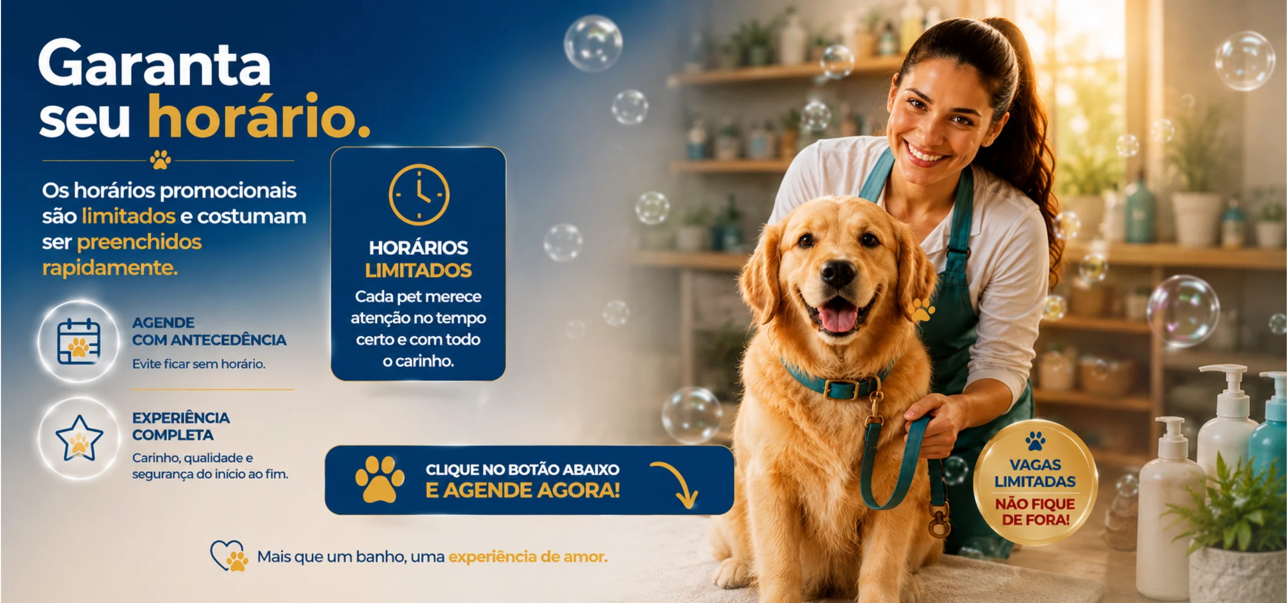 Seção 8 da página modelo